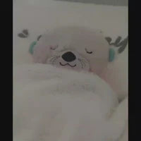 Breathing Teddy Bear with Soothing Music